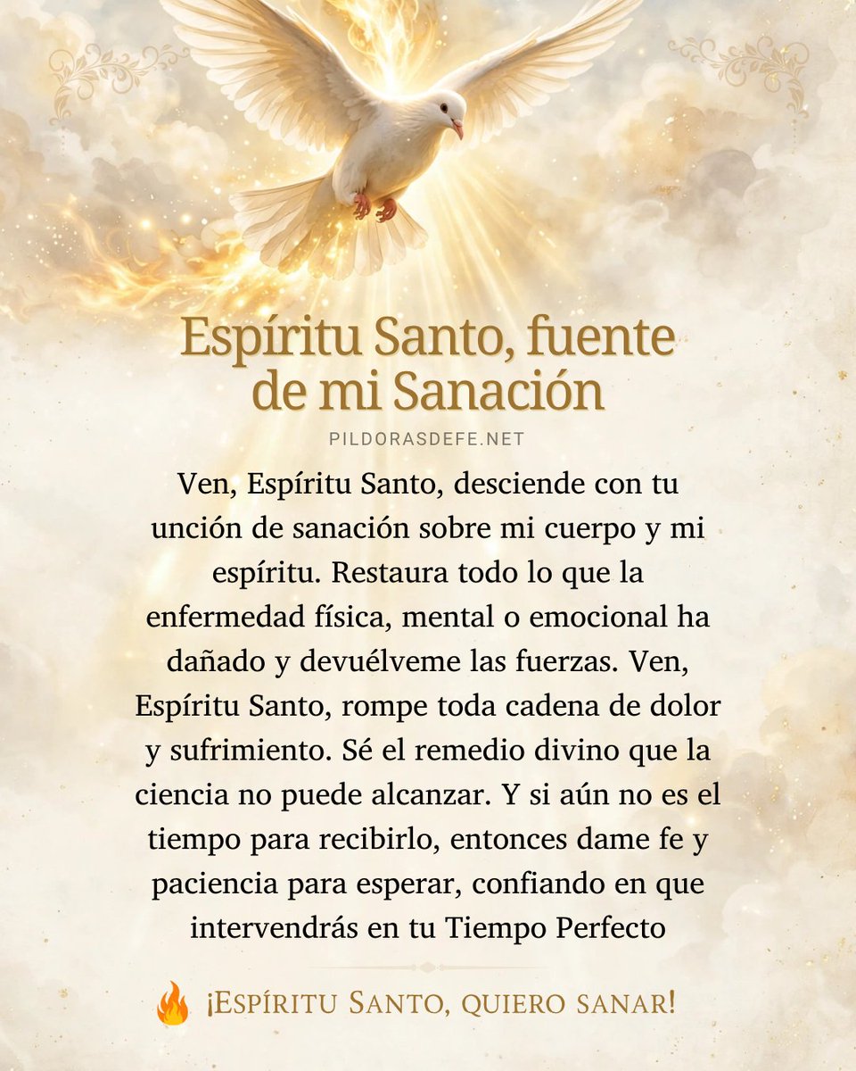 Pildorasdefe's tweet photo. ¿Quién conoce realmente tu dolor?
Ese que no le cuentas a nadie para no preocupar. Hoy, permite que el Espíritu Santo entre justo ahí contigo

No tienes que aparentar fortaleza ante los demás, solo dejar que el Espíritu Santo vea esa herida contigo.

El Espíritu Santo llega como fuego suave que reconoce exactamente dónde está eso que se ha roto.

Él no pregunta si mereces sanar, simplemente desciende sobre tu herida, te acompaña y consuela.

Tal vez la ciencia ya hizo lo que pudo, y allí quedó un cansancio envuelto en la desesperanza. 

Esa parte que la medicina no toca es donde Él quiere derramar su unción hoy.

Oración. 🙏
Ven, Espíritu Santo, desciende con tu unción sobre mi vida.
Repara todas esas áreas de mi cuerpo y mi historia que necesitan ser abrazadas por tu fuego.
Dame paz y serenidad para esperar en tu tiempo perfecto.
Amén

Si hoy dejarle nombre a ese dolor que solo tú y Dios conocen, ¿cómo se lo dirías al Espíritu Santo? 

Aquí vamos a orar junto a ti. 🙌