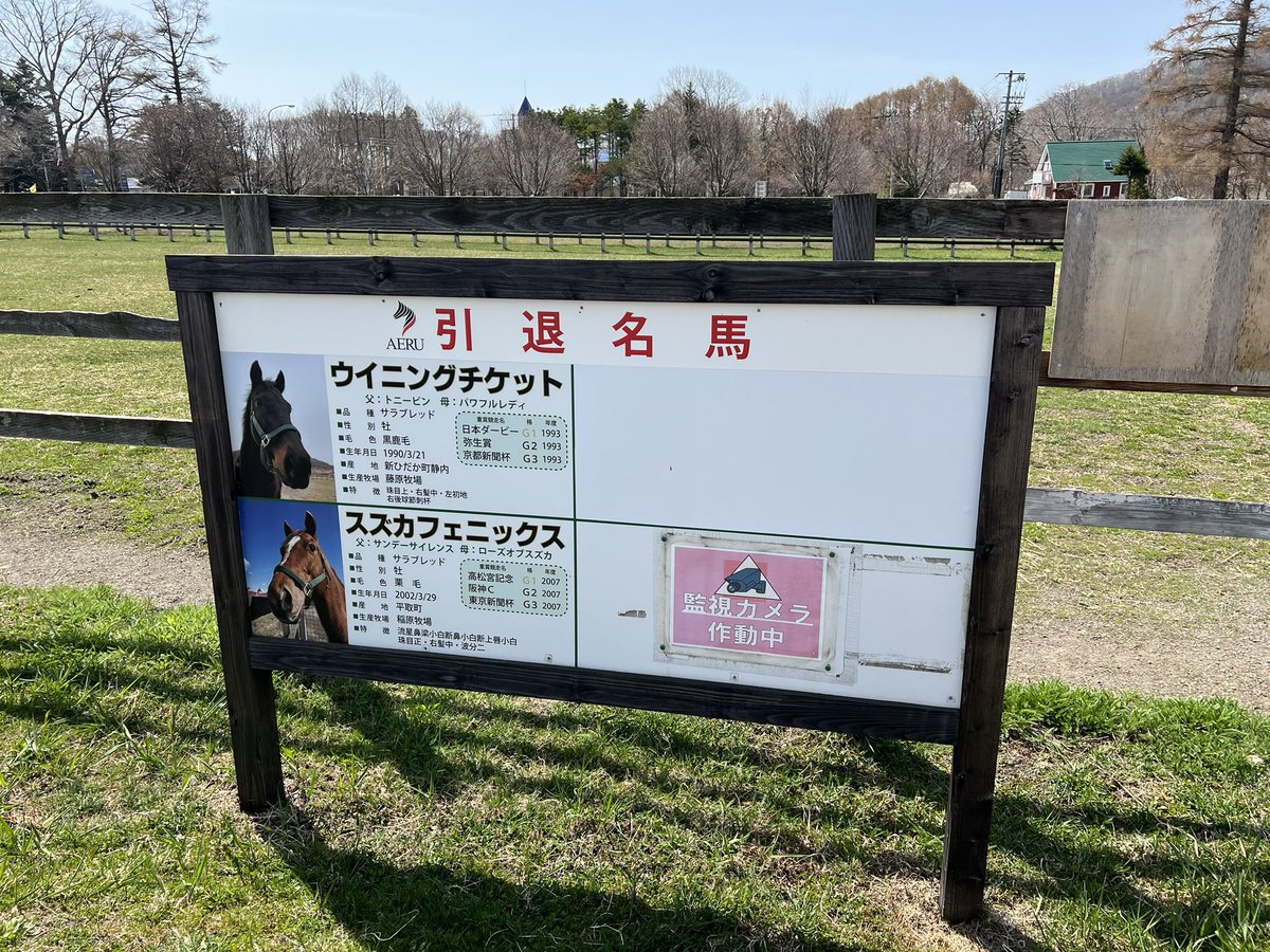 TR_journy's tweet photo. @inoue_honokuma (1/?)
お疲れ様でした

スプリンターズステークスといえば
かつてアストンマーチャン号と鎬を削った
スズカフェニックス号をどうぞ

去年撮影しました
@aeru_joba 様のファンミーティングです
私も詳しくありませんが年に何回かあるそうです
是非行かれてはいかがでしょうか？

↓続きます https://t.co/TO37JW2PWh