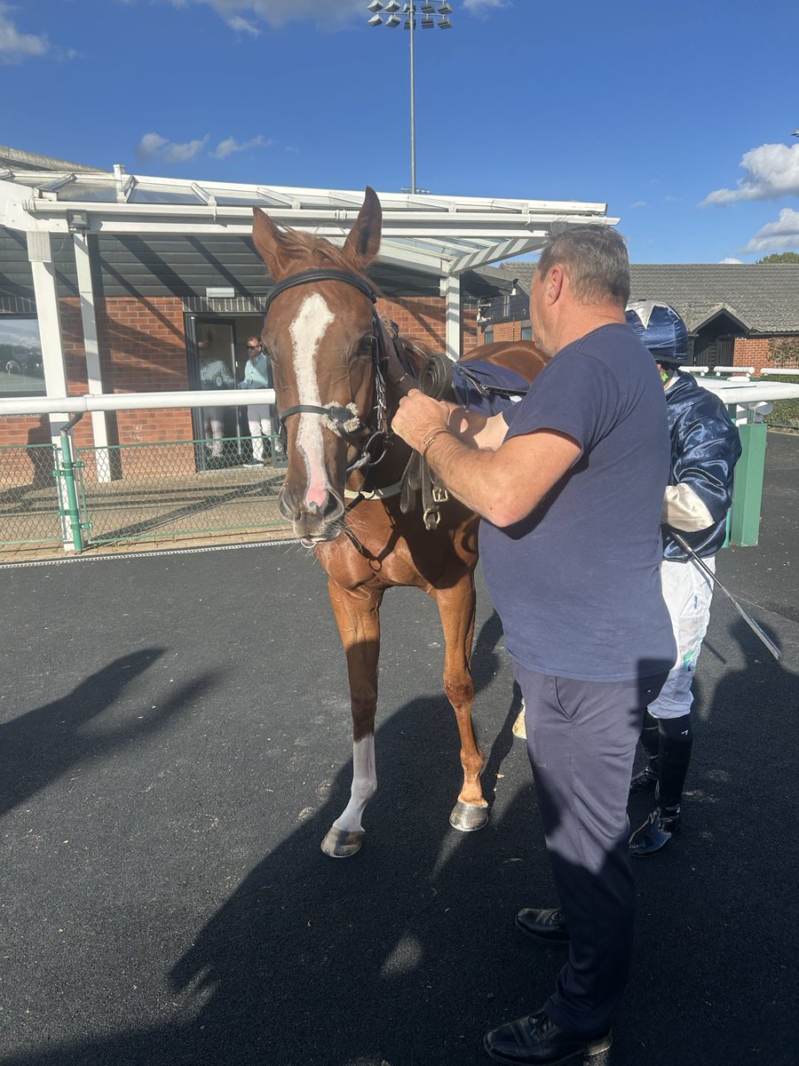 vespersolis's tweet photo. 🥉 HELLCAT — 3rd at Southwell!

Another gutsy run from our girl, battling all the way to the line to grab another place for the Vesper Solis

She’s knocking on the door… and we’re loving every second of it.

JOIN THE ROAR. 🐾 

Shares available from £40 per month https://t.co/MC08G9kosH