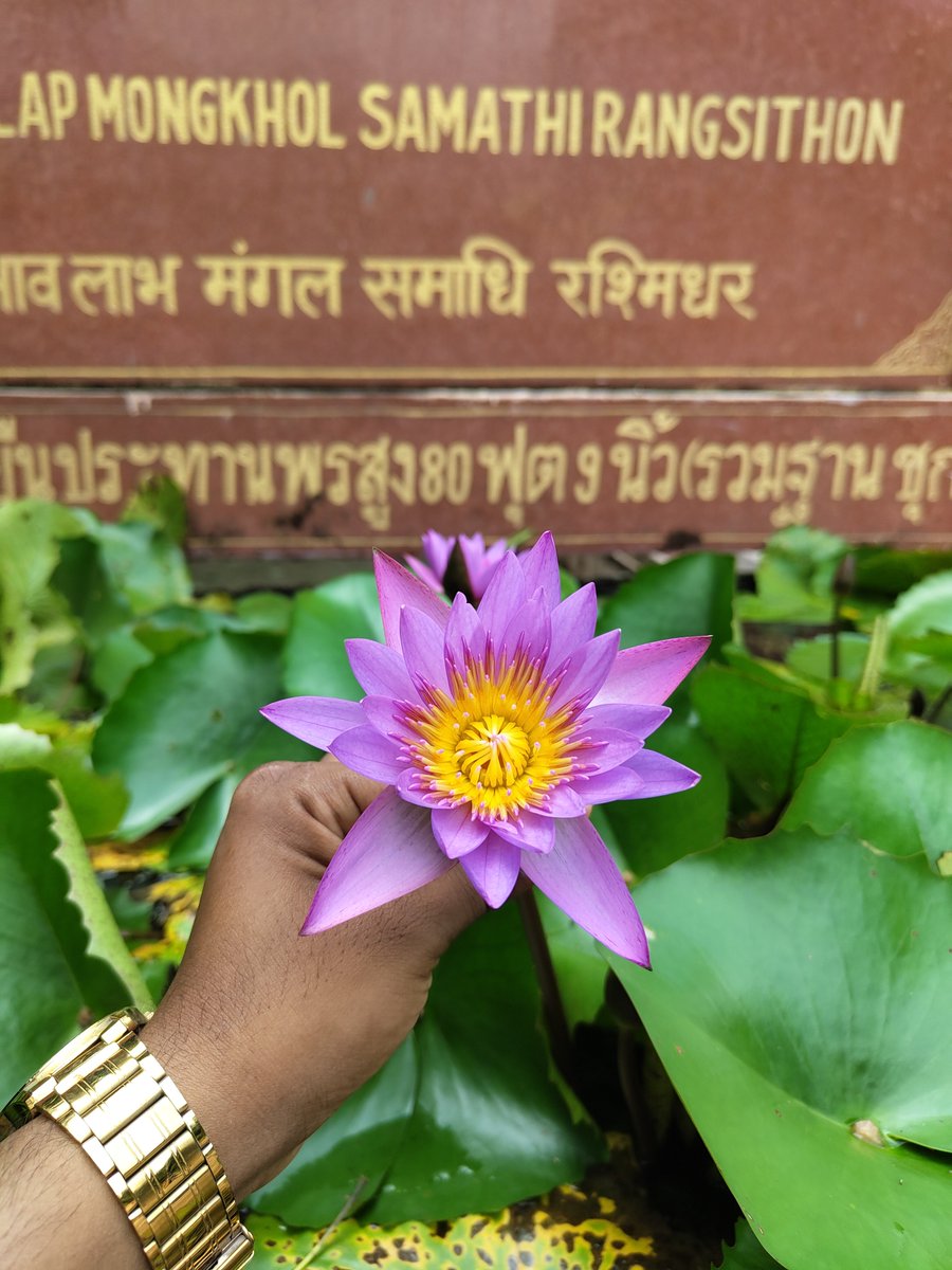 prime_monastery tweet picture