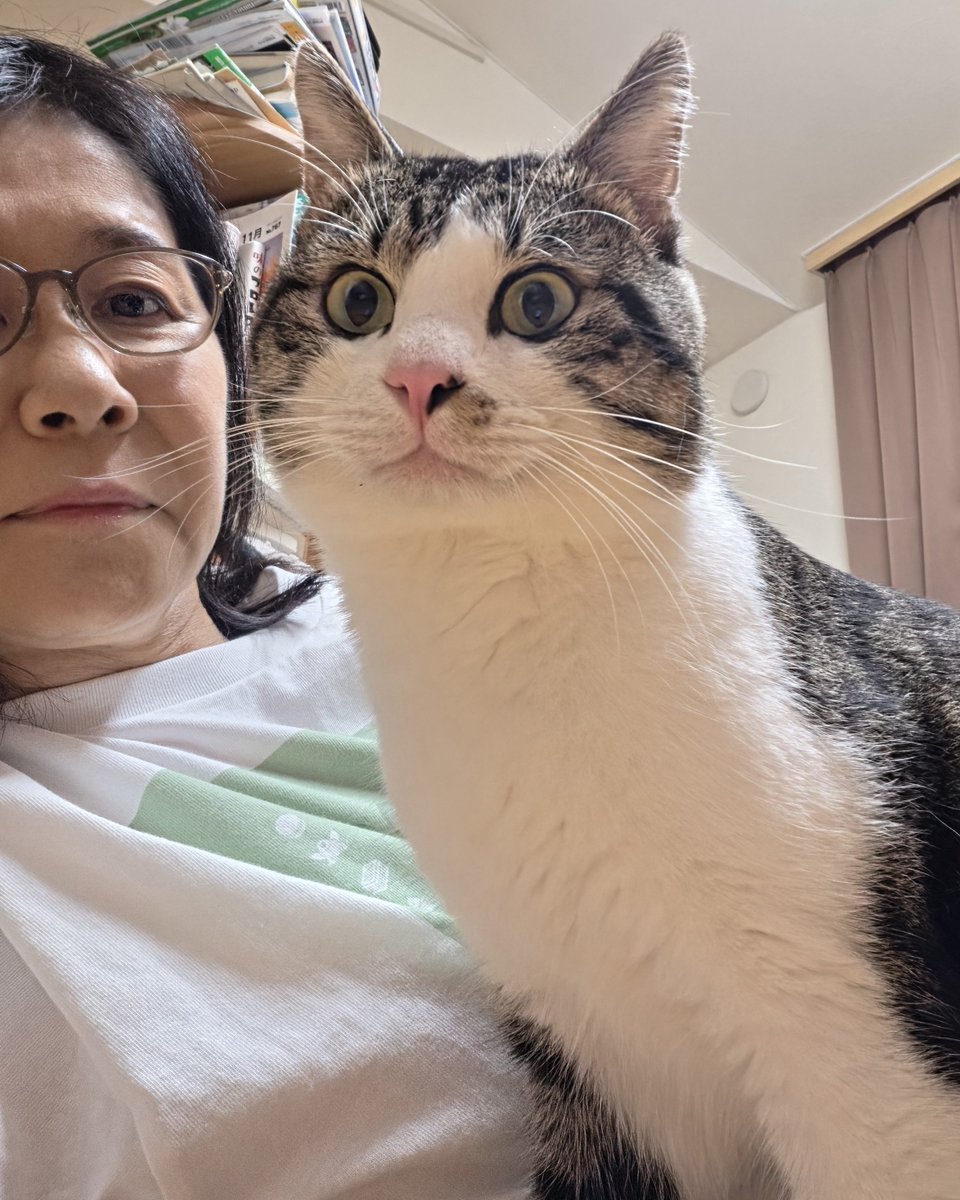 rkayama's tweet photo. 昨日ひと晩あけて帰ってきたらめちゃ怒ってたけど、きげん直ってよかった https://t.co/4WWq2WMPry