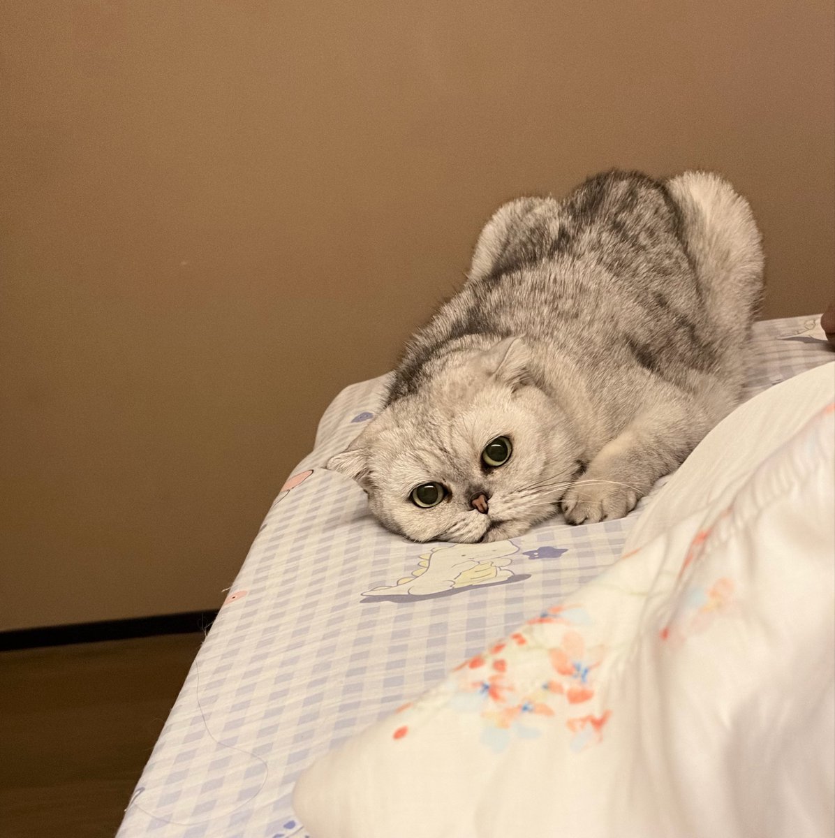 juzuo0401's tweet photo. 可爱 https://t.co/qBZtZZoBWr