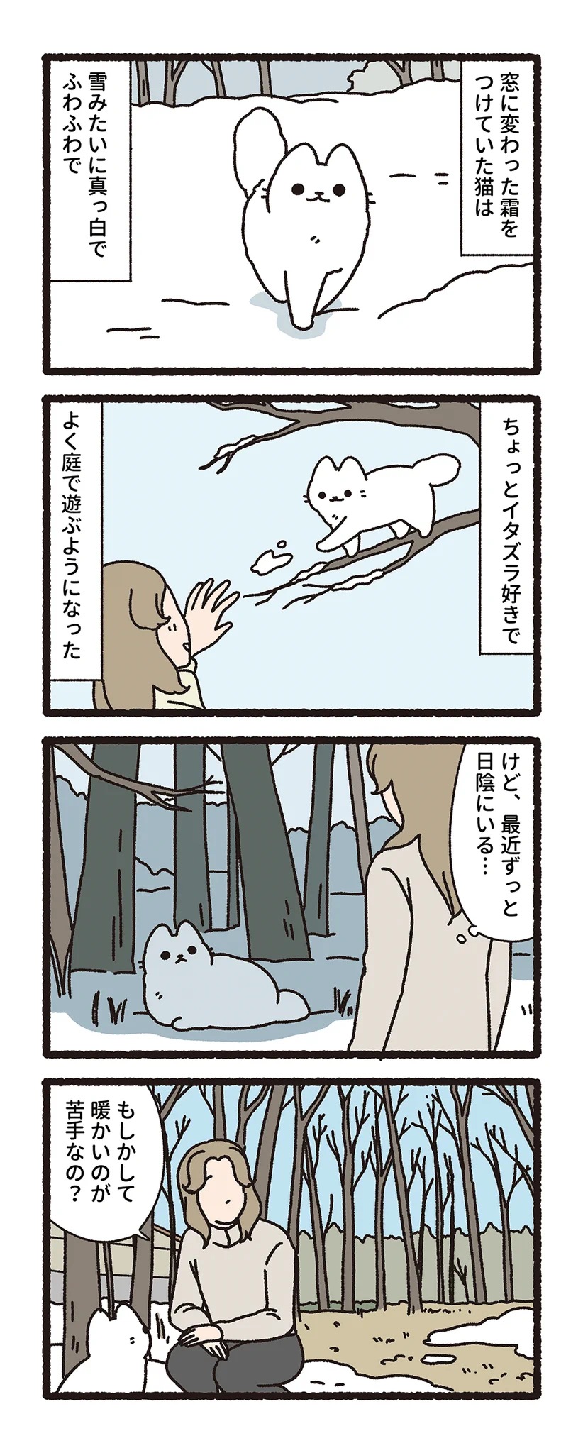 pandania در X: «白くてふわふわの猫（3/3）» / X