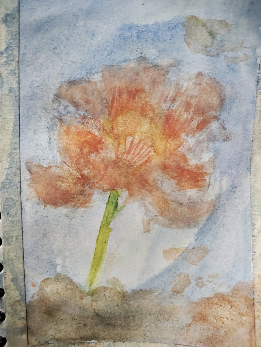 2QthCB's tweet photo. Tulips and some kind of Flower 🤡
#art #artjournal #illustration #artwork #sketch #watercolor #watercolorpainting https://t.co/ja9iO1qQJM
