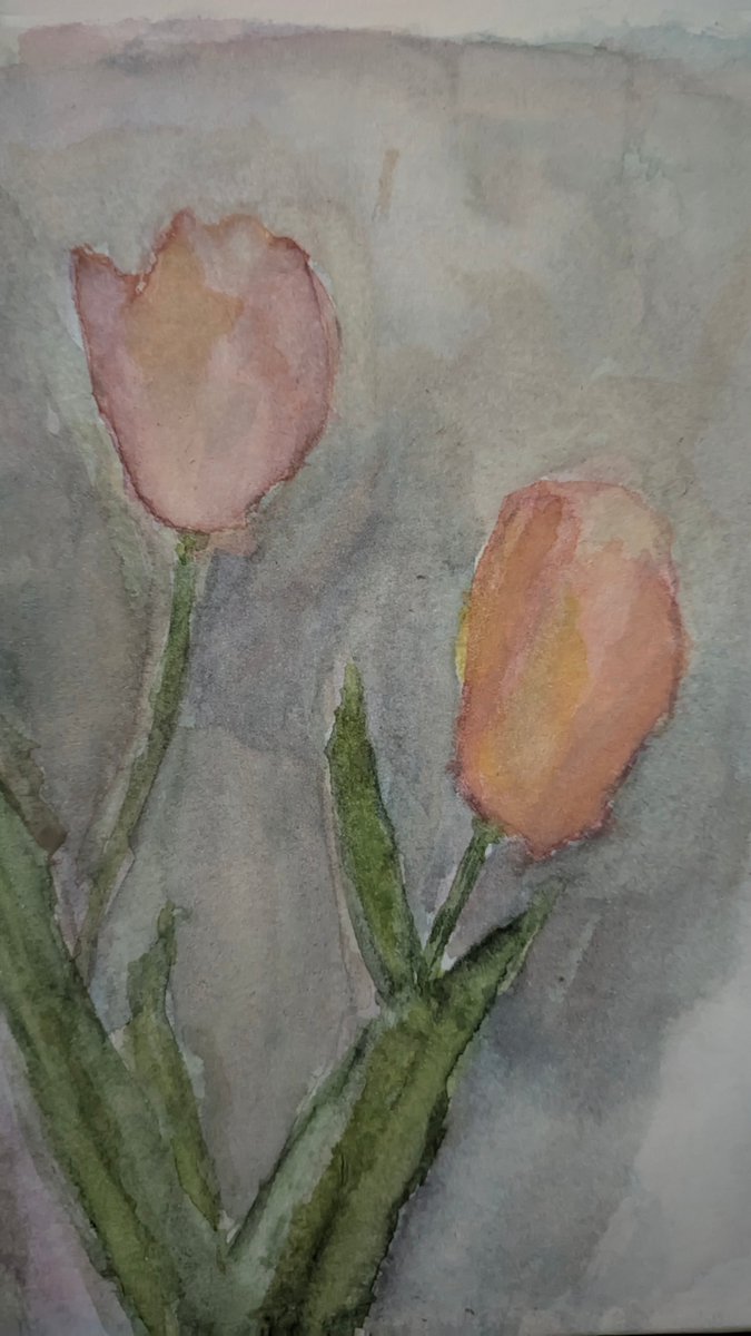 2QthCB's tweet photo. Tulips and some kind of Flower 🤡
#art #artjournal #illustration #artwork #sketch #watercolor #watercolorpainting https://t.co/ja9iO1qQJM