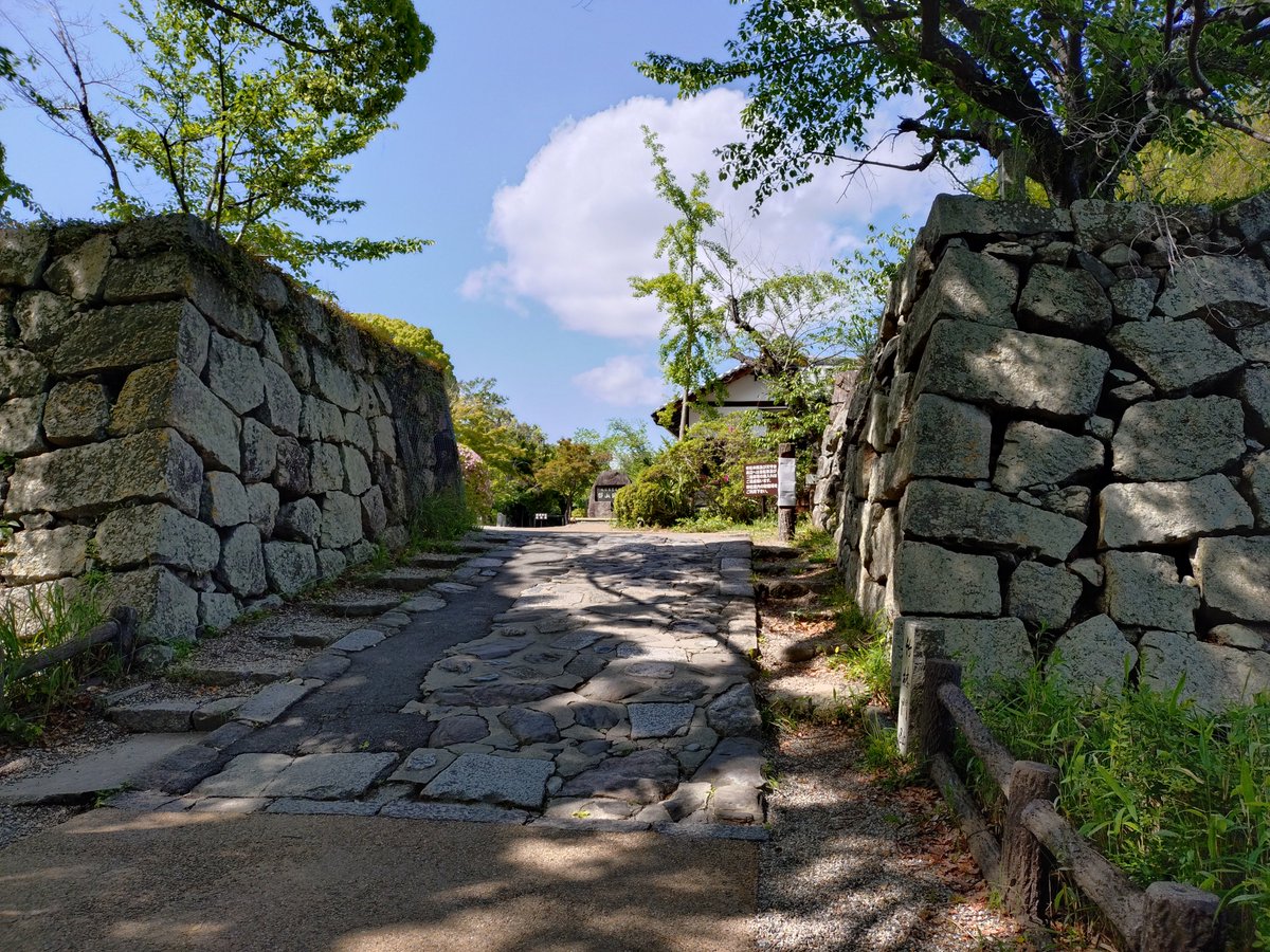 rhsnw6's tweet photo. 今年４月に行ってきた大和郡山城。
このときはまだお城に沼ってなかったのであんまり写真撮ってない(泣) https://t.co/rt1KBoWR1Y