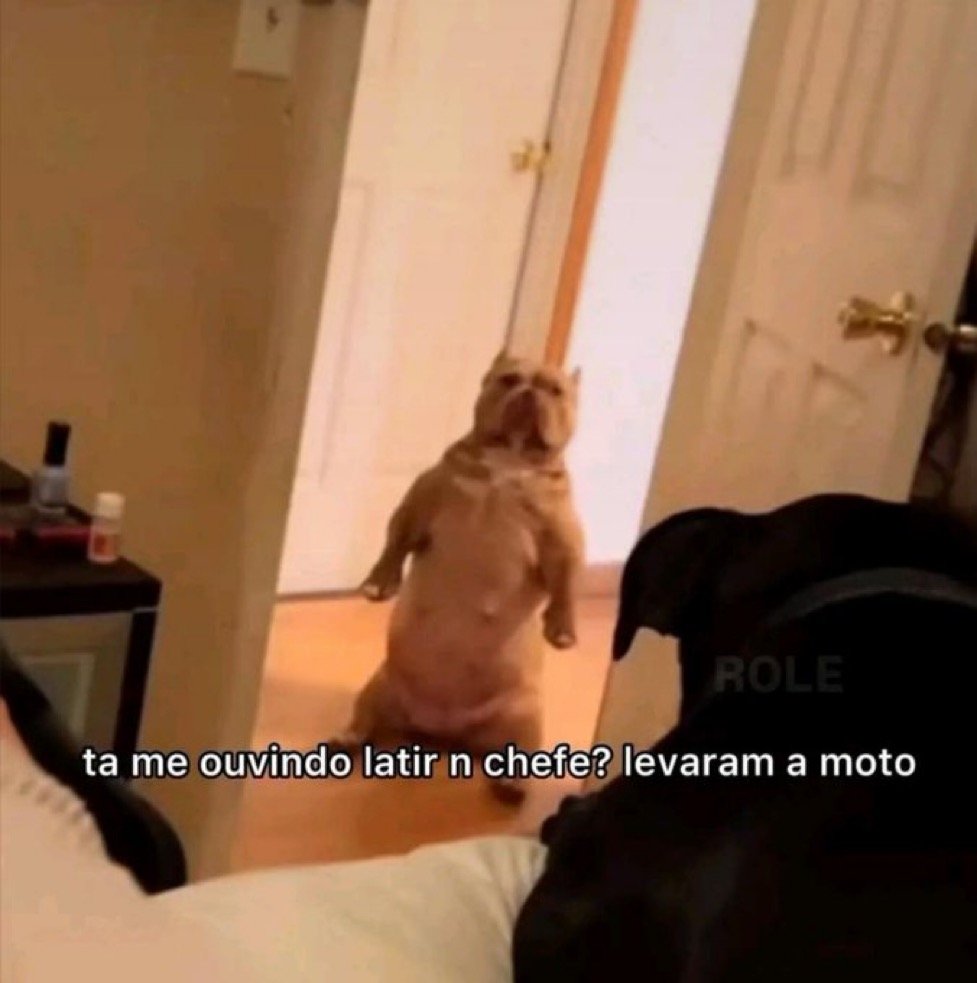 chrslips's tweet photo. nossa levaram minha moto https://t.co/WbQG5asabl