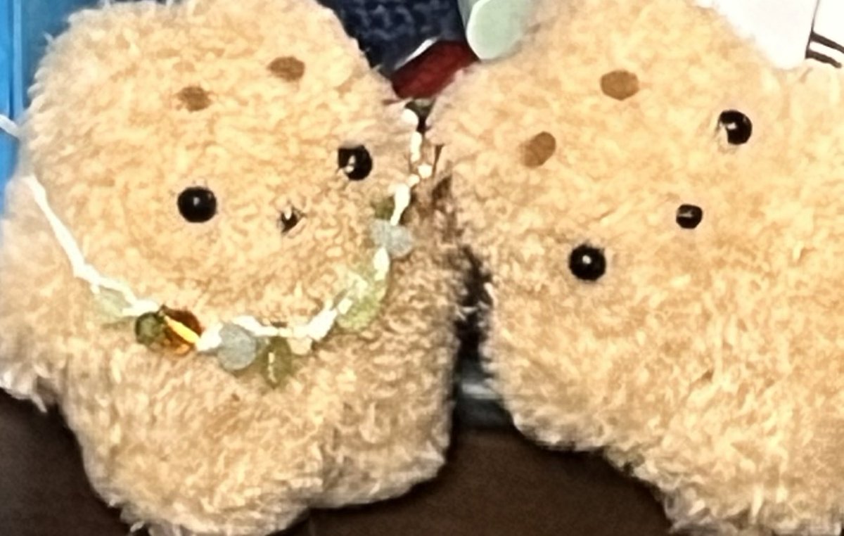 Chi_wabu's tweet photo. わぶのこと迎えにきてね https://t.co/YuYvs5mHQG