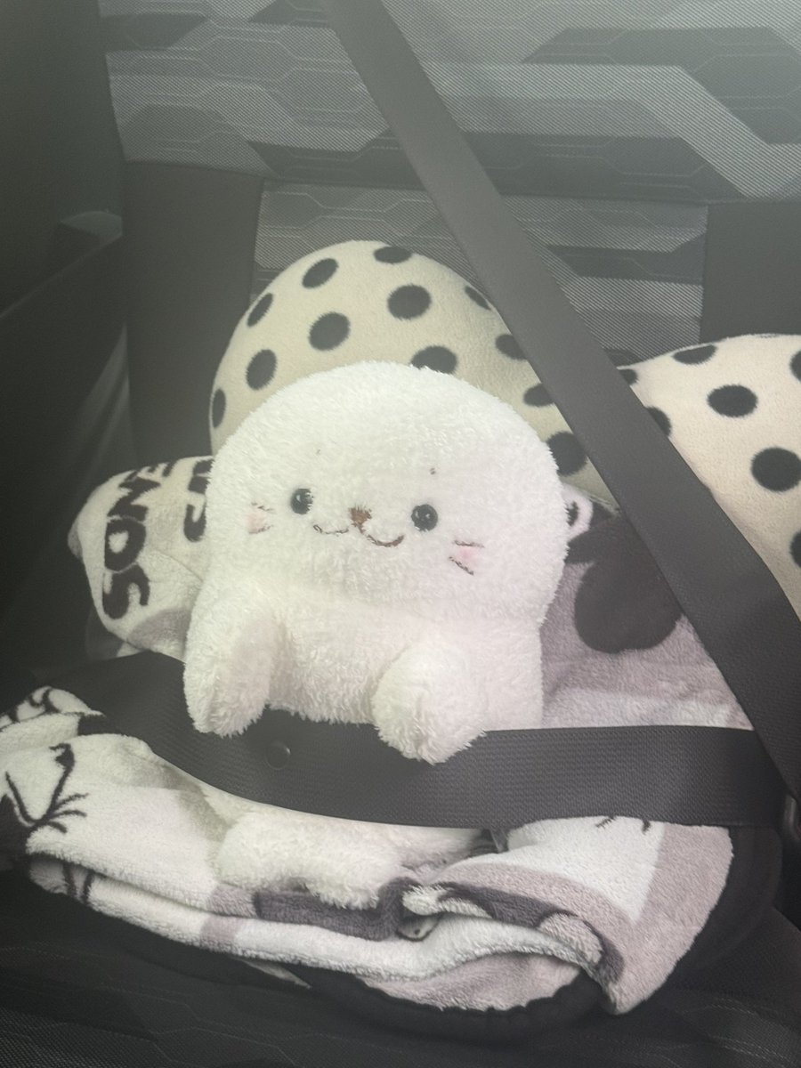gon1ex's tweet photo. ぱぺたん連れてお出かけしてきた🚗³₃ https://t.co/zjipfnk92j