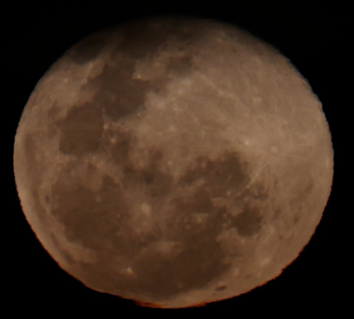MichaelBabic6's tweet photo. Harvest moon day after . 27.09.2026 https://t.co/lJ6gTrW51x