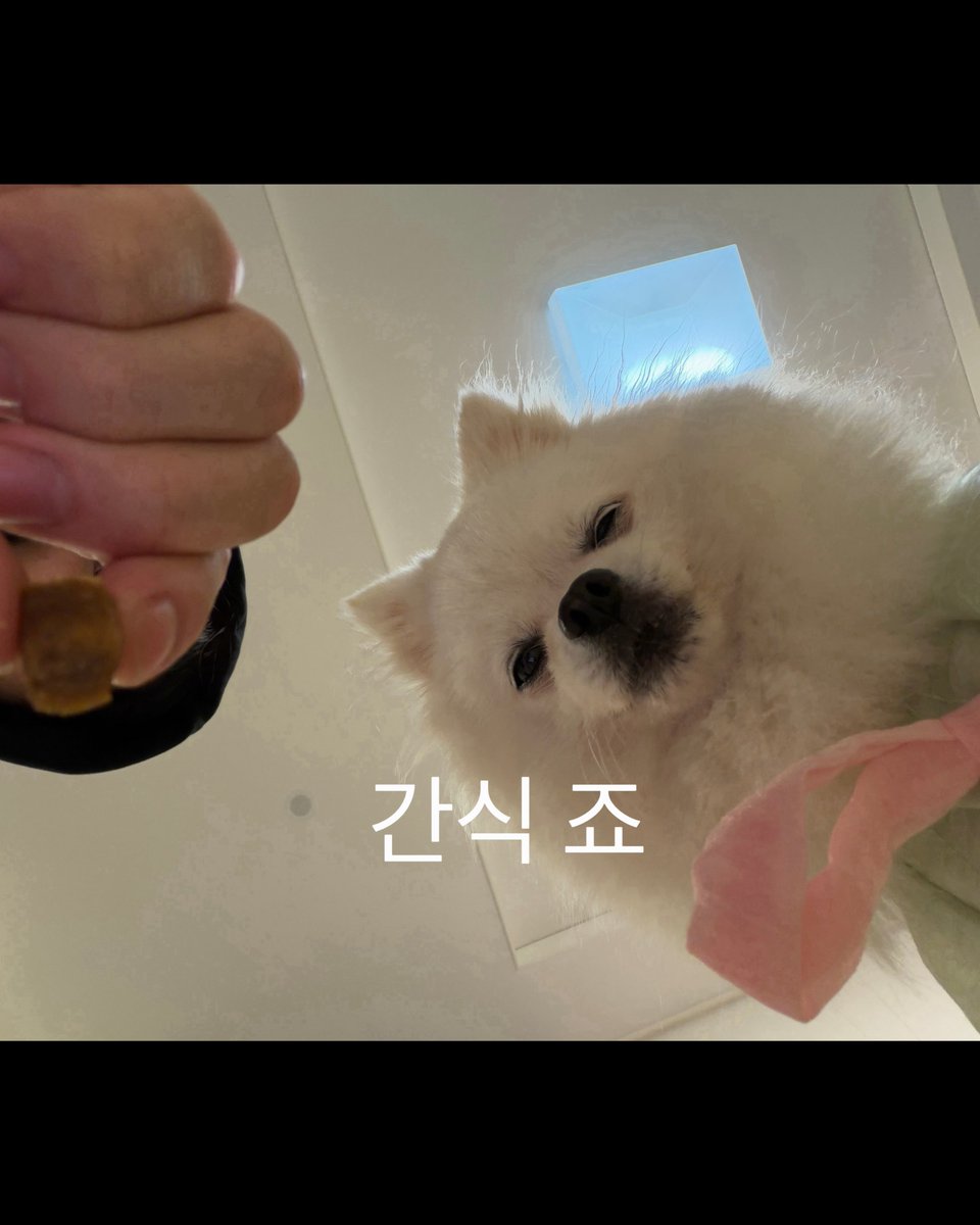 mypluffycloud's tweet photo. 260927 성한빈 인스타그램 #성한빈 

월요일 반대합니다. https://t.co/GNeIBd1LPG