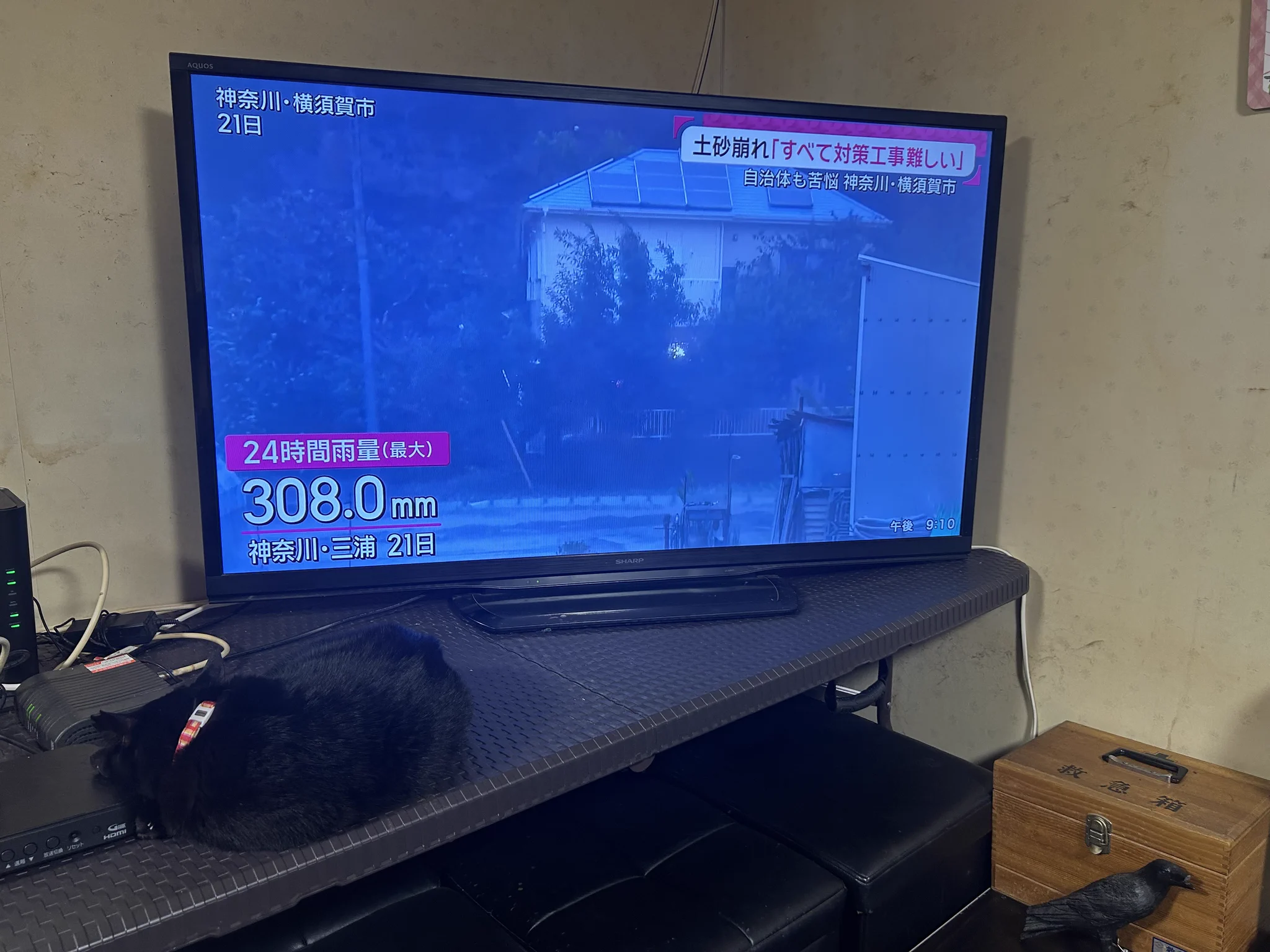 店主（松ちゃん） on X: 