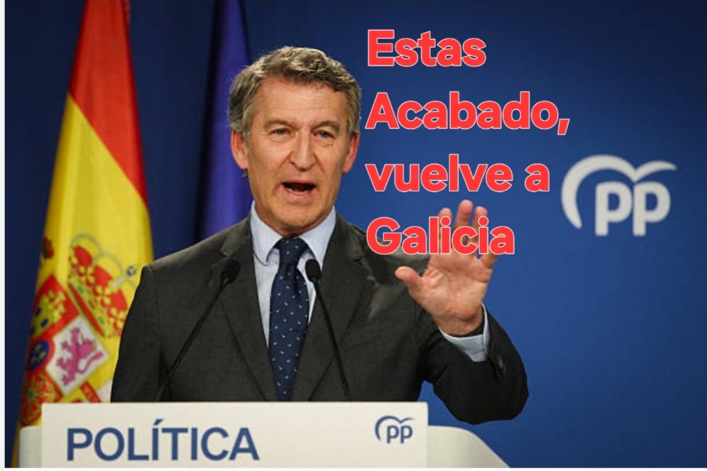 GTHugo69's tweet photo. @eldiarioes Me dicen que @AlmeidaPP_ ,al igual que todo el @ppopular ,
se reunieron en Génova.
Anoche esperaban reventar Madrid con al menos un millón de manifestantes.
Están desolados,decepcionados  y ya hay voces que cuestionan a @NunezFeijoo 
En @vox_es creen que el @NunezFeijoo resta. https://t.co/q0N8eaC9cF
