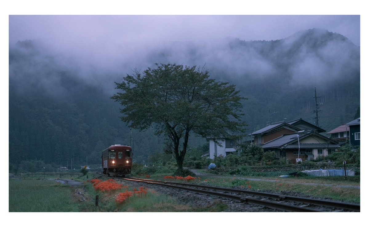 rekkin321's tweet photo. 2026.9.27
今日の長良川鉄道。
雨の彼岸花がうつくしい季節です。 https://t.co/m1lQYSeCKt