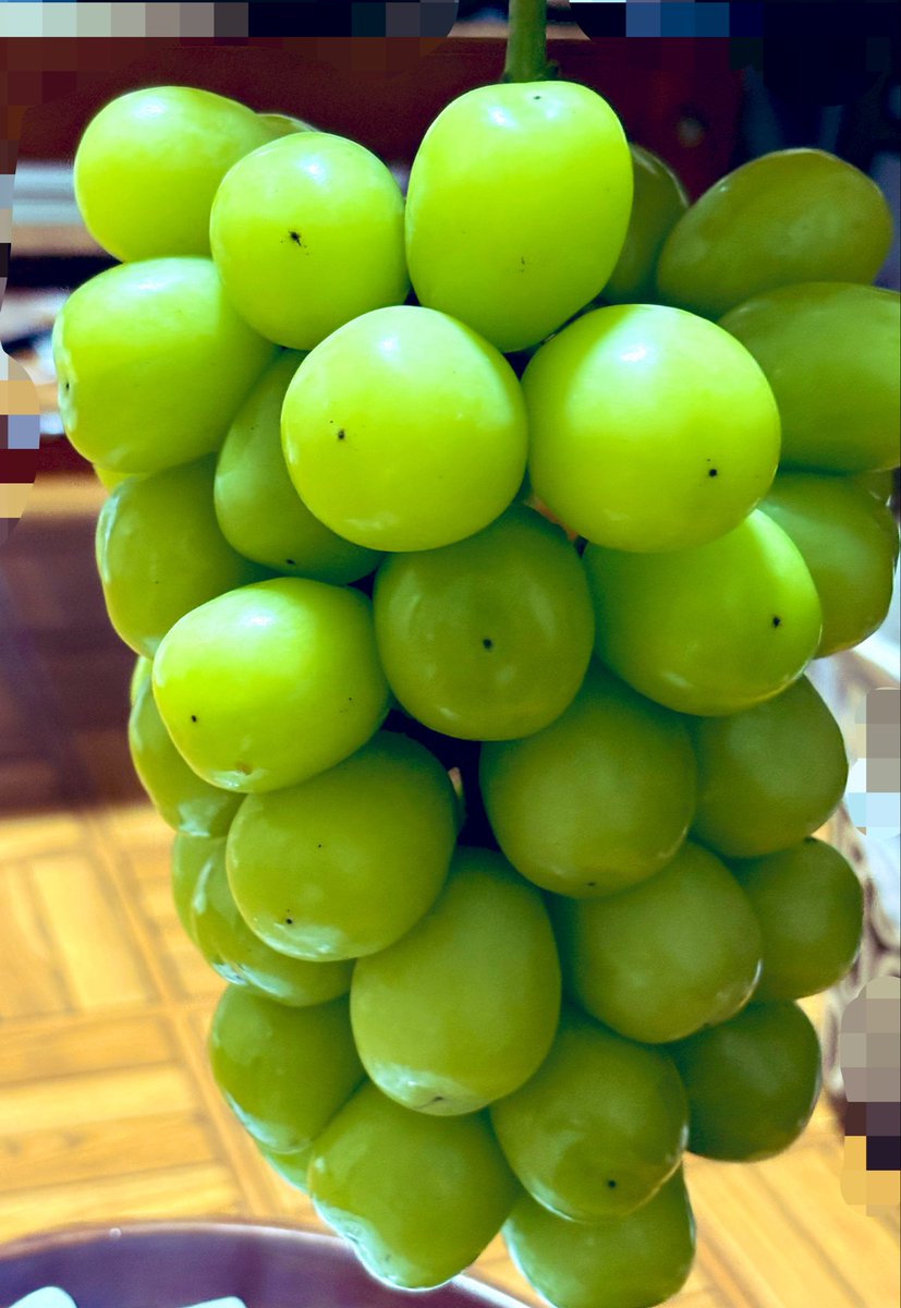9vryy's tweet photo. シャインマスカット 届いたー💚🍇- ̗̀📦 ̖́- https://t.co/hZ7Cxe398F