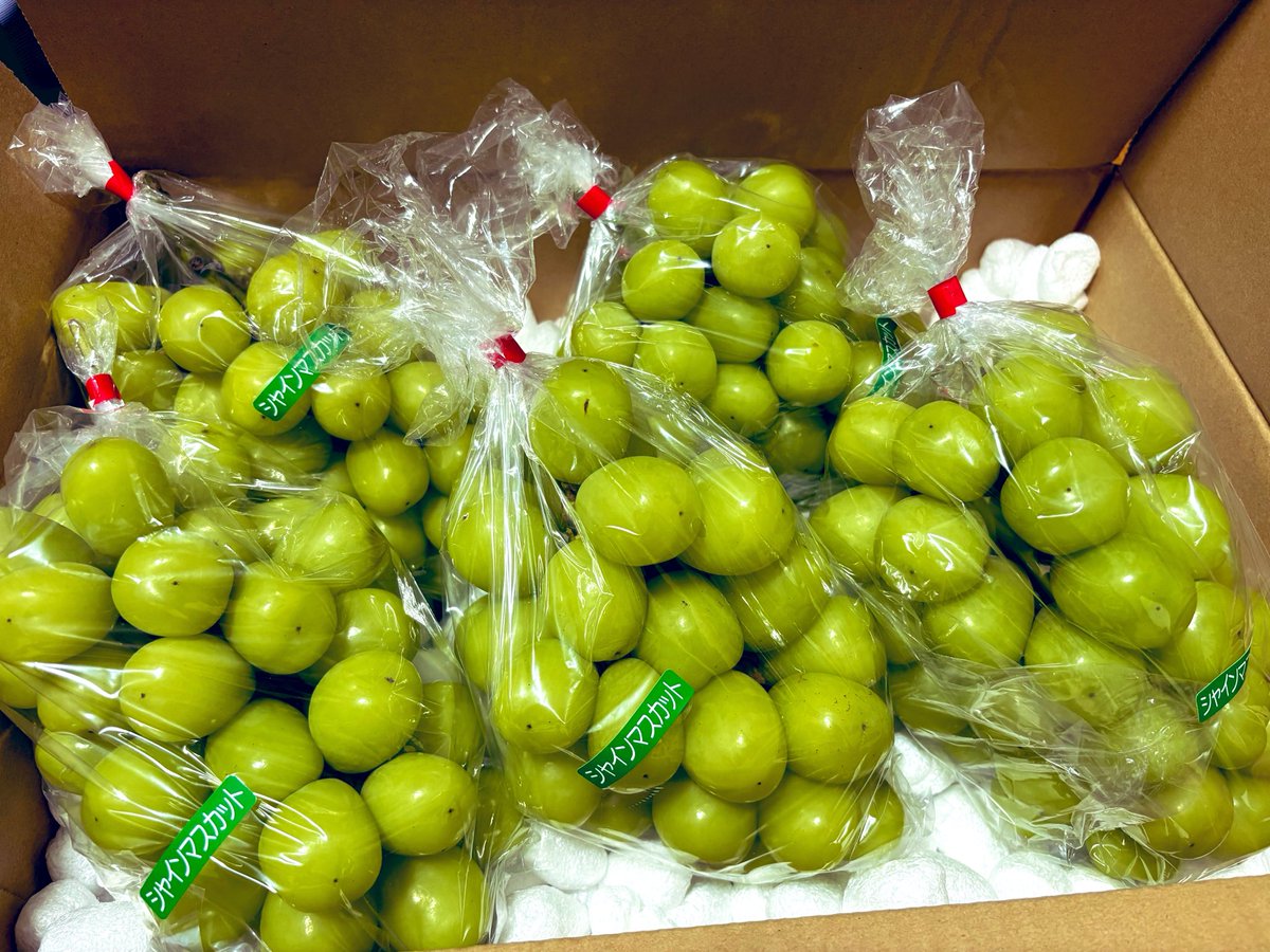 9vryy's tweet photo. シャインマスカット 届いたー💚🍇- ̗̀📦 ̖́- https://t.co/hZ7Cxe398F