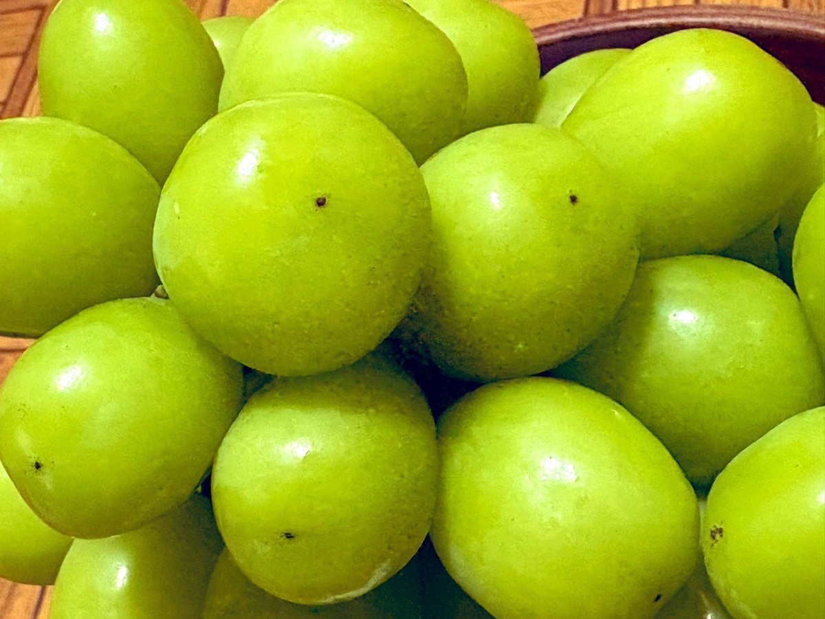 9vryy's tweet photo. シャインマスカット 届いたー💚🍇- ̗̀📦 ̖́- https://t.co/hZ7Cxe398F