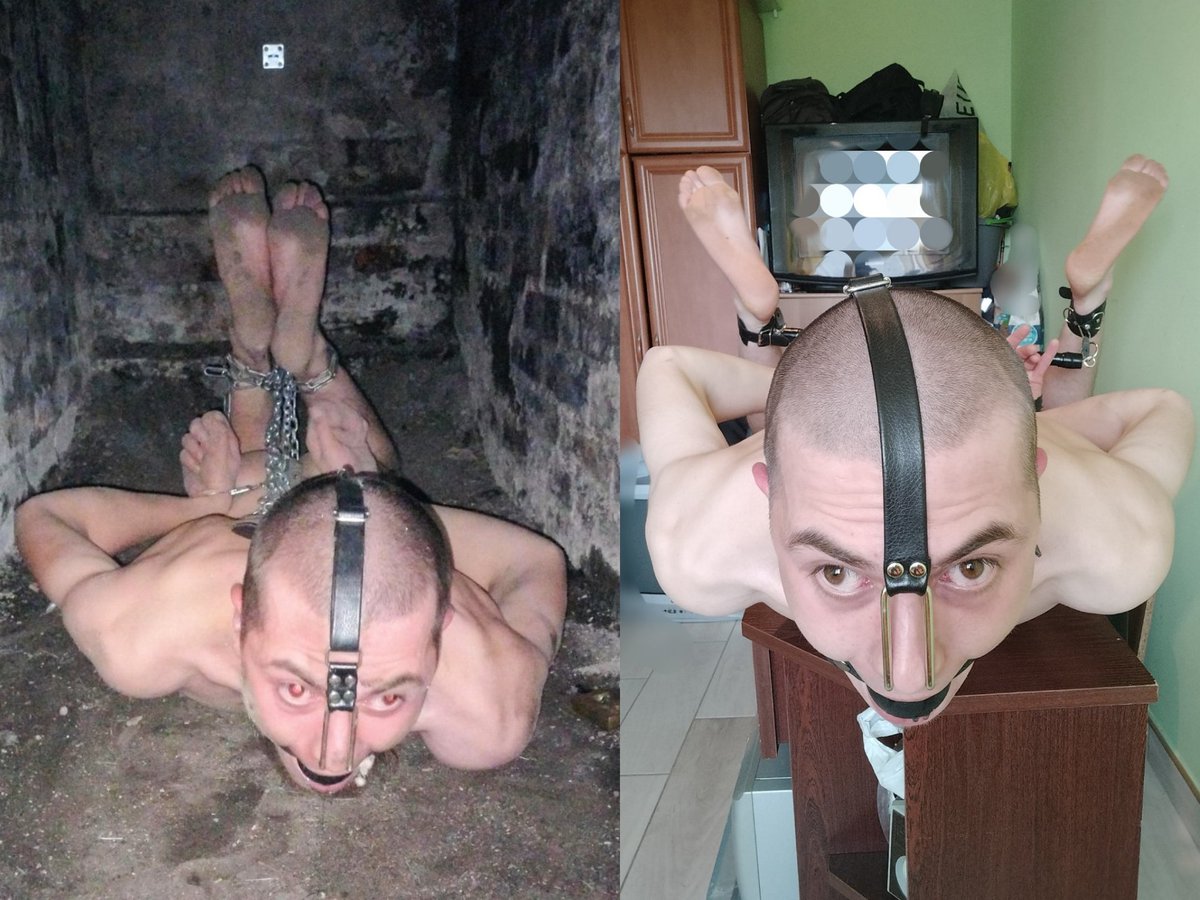 Bondage1999's tweet photo. I don't know about you guys, but I actually prefer him all filthy like this. I can't imagine him living with me in my clean home. He belongs in a dungeon. https://t.co/03goMlwBsb
