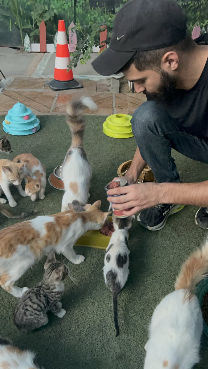 RescueCare's tweet photo. In Gaza, even surviving another day has become difficult—for people and for animals.💔🇵🇸

Yet every morning, the animals at Salam Shelter wake up waiting for food, water, medicine, and the care they depend on us for.

We cannot tell them there is nothing left. We have to keep trying.

My dear friends, if you can stand with our shelter today, please do. Your kindness helps us keep these animals fed, treated, and safe.🙏🐾❤️

PayPal: https://t.co/eL95czBcm6
GoFundMe: https://t.co/hYA2hXUDDU

#Gaza #AnimalRescue #CatRescue #SaveAnimals #Hope