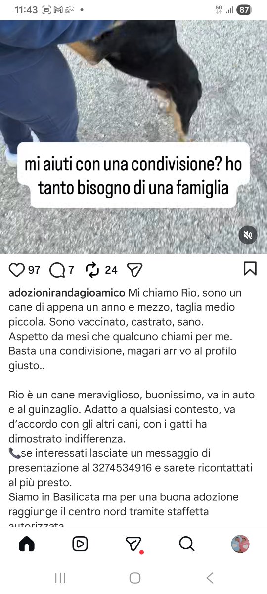 annina_cutillo's tweet photo. https://t.co/DzPY6MvmOC
