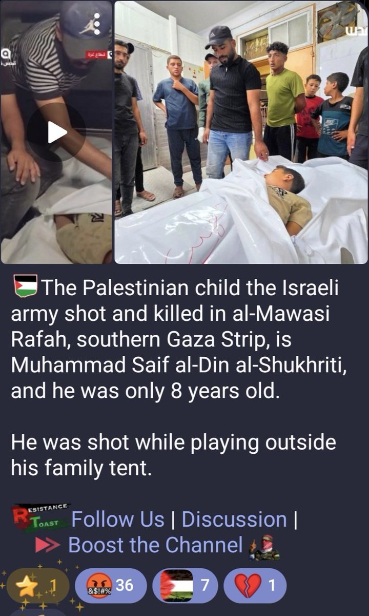 ArdentStubborn's tweet photo. Targeting and slaughtering the child while he played outside his family's tent but that's just YOU @IDF @Israel "deploring" harm to non involved parties oh but Hamas are the ones "violating" the deal 

@netanyahu MURDERING children playing outside their families tents is definitely not in line with what you said at the UN

And you wonder why you're despised? 🤬🤬🤬