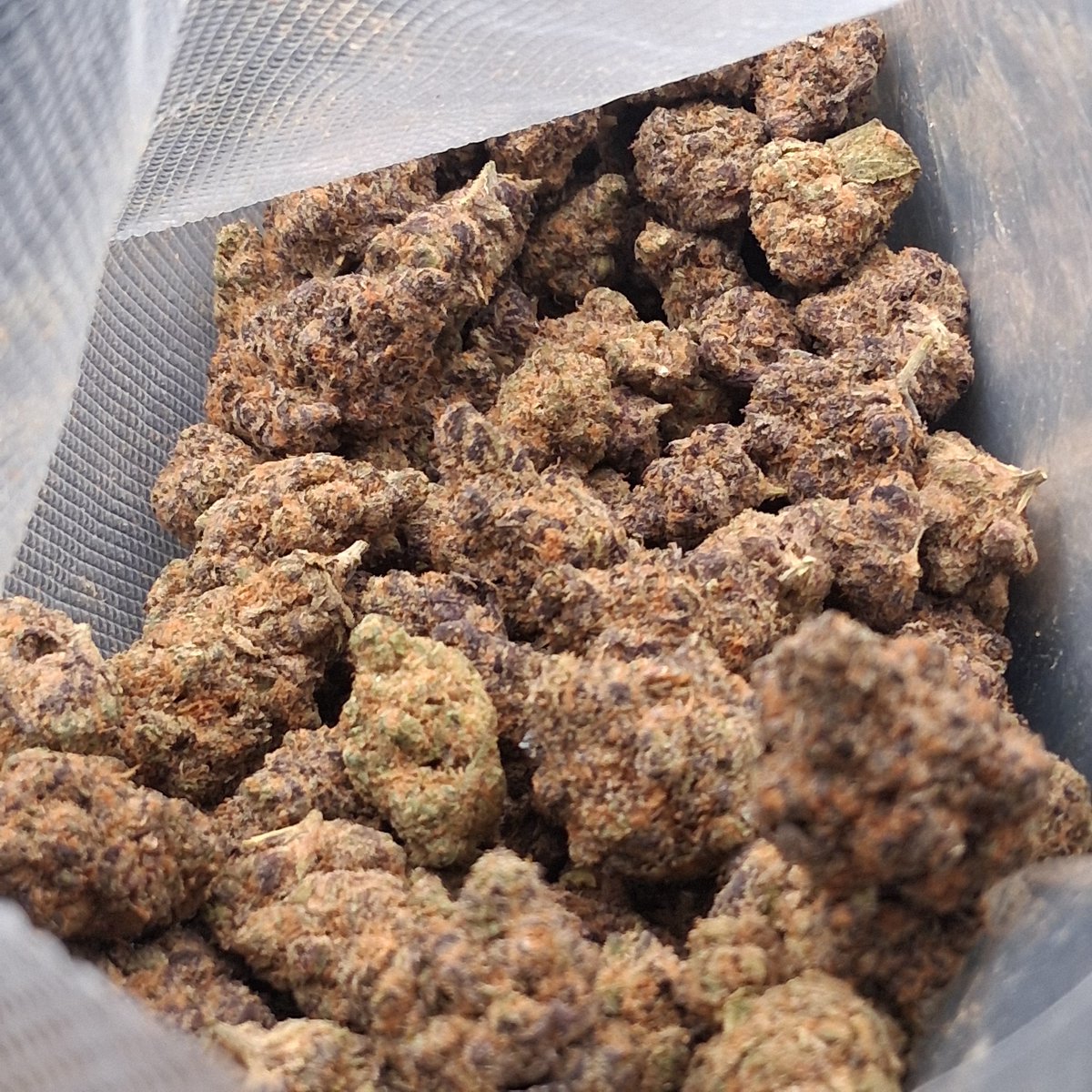 Mr_Buds_Va's tweet photo. Media dropppppp!!!!!!! 
🍊🥃🫗SUPERBOOF 🫗🥃🍊

OPEN THE JAR🫙 AND STG YA COULD MISTAKE IT FOR ORANGE JUICE 🍊. 
    LOUD CITRUS TROPICANA OJ WITH A NEW CREAMYNESS I HAVEN'T PERSONALLY HAD ON THIS STRAIN. 
    FU*K**G HUGE SHOUT OUT TO MY HOMIES THAT HELPED IN ALL PARTS OF THIS PROSSES. FROM GROW TO SECTION TILL RN, PURPLE AND ORANGE NUGS. HERE'S SOME 📸 AND NON 📷 (flash) pics.