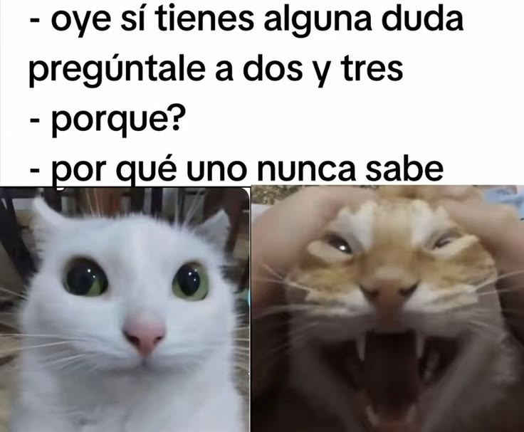 Tekivocas's tweet photo. https://t.co/9XA77rvszb