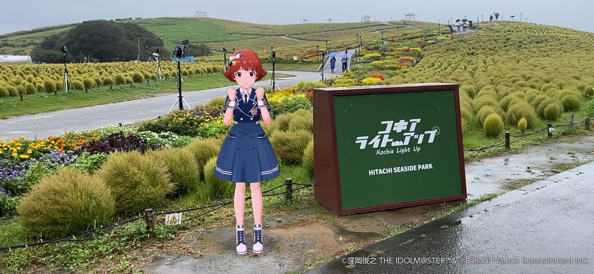 pahpakpa's tweet photo. 緑のコキア https://t.co/wBDkxvzww8