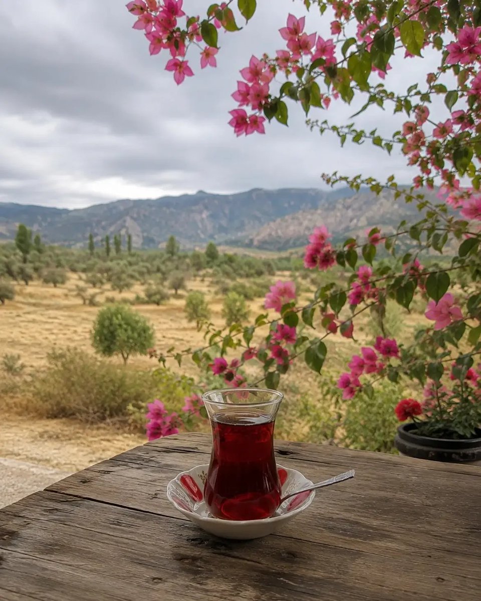 ankara_78's tweet photo. İyi pazarlar.
Herkese çay benden. https://t.co/lFsatfbRgR