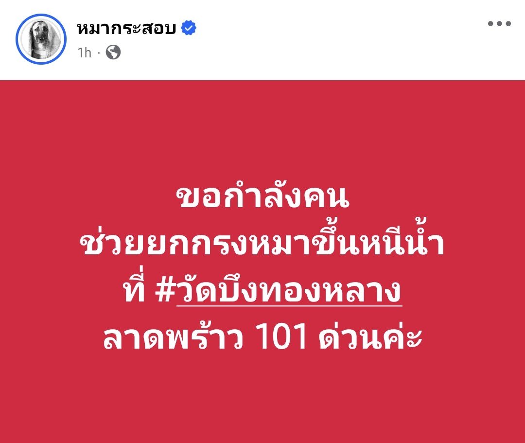 NunaxMx's tweet photo. สงสารเพจนี้ที่เค้าอุปการะหมาจร ยังไม่มีหน่วยงานไหนไปช่วยเลย ช่วยกันอยู่ไม่กี่คนเองแล้วกรงน้องหมากำลังจะจมแล้ว #น้ำท่วม https://t.co/9WetYPpwRY