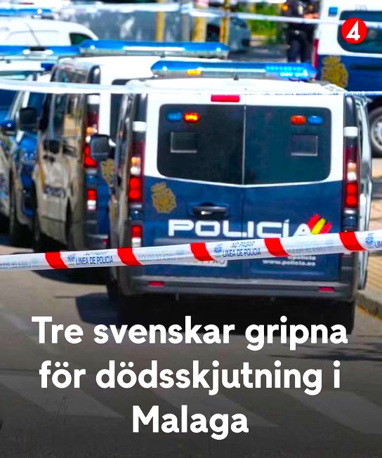 DABoooomB's tweet photo. Varför ska det vara så jävla svårt för svensk media att säga som det är? Spanska och internationella medier rapporterar nu om gängskjutningen i Málaga: de tre gripna männen är svenska medborgare av ''SOMALISKT ursprung '' som i ren paranoia sköt en oskyldig 20-åring.🤦‍♂️🤦‍♂️🤦‍♂️🤦‍♂️🤦‍♂️ https://t.co/qCQedXOp9X