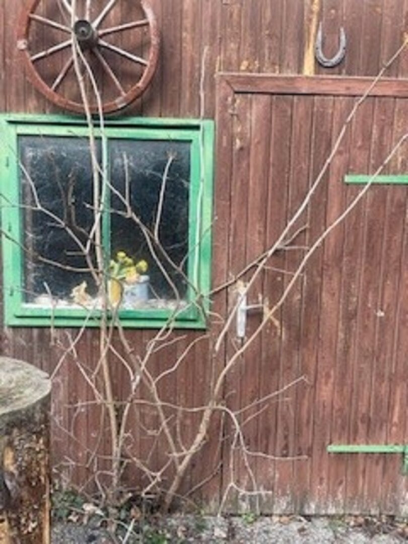 immo_aldin's tweet photo. 420 m² in Brunn am Gebirge: Dieses Baugrundstück liegt zentral und bietet mit Ärzten, Apotheken, Schulen, Kindergärten und guter Anbindung alles für den Alltag. Kaufpreis: 420.000 EUR.

Mehr erfahren: https://t.co/6P2jV2AK65

#BrunnamGebirge #Grundstück #Niederösterreich https://t.co/t3hjzGD2RW