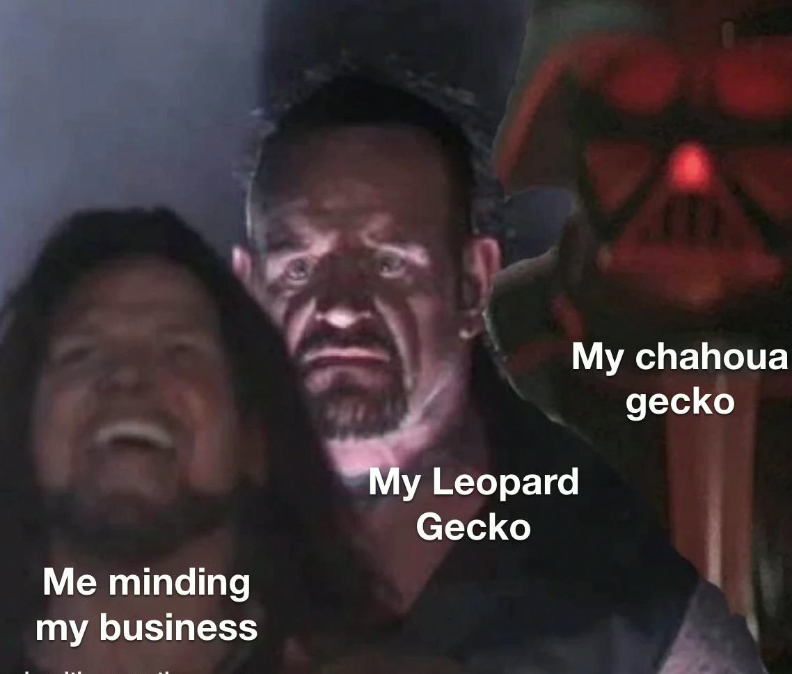 GeorgeGreerz3f's tweet photo. Tried to find a version with a fourth person to add my fish, but oh well
#PythonVsCrocodile #LizardLife https://t.co/2mpQaZy72b
