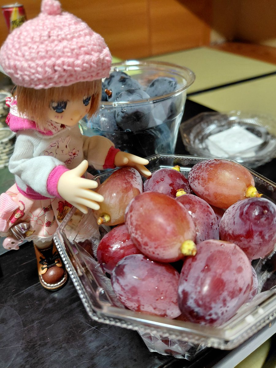 nonpubakudan's tweet photo. ぶどう🍇タイムｷﾀ━(ﾟ∀ﾟ)━! https://t.co/RQ1ykXqGQ7