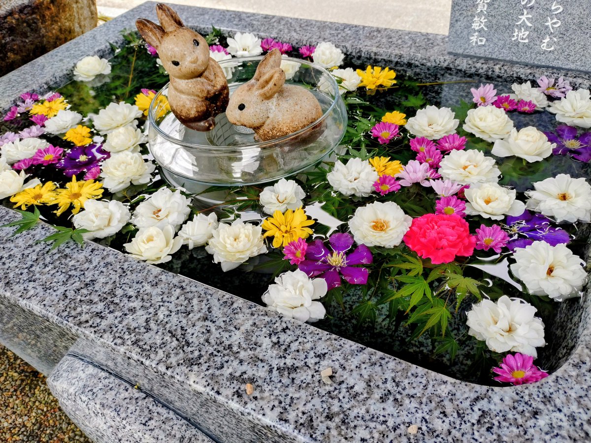 kiraboshi0403's tweet photo. 参拝🙏✨️ https://t.co/w0OQ474o35