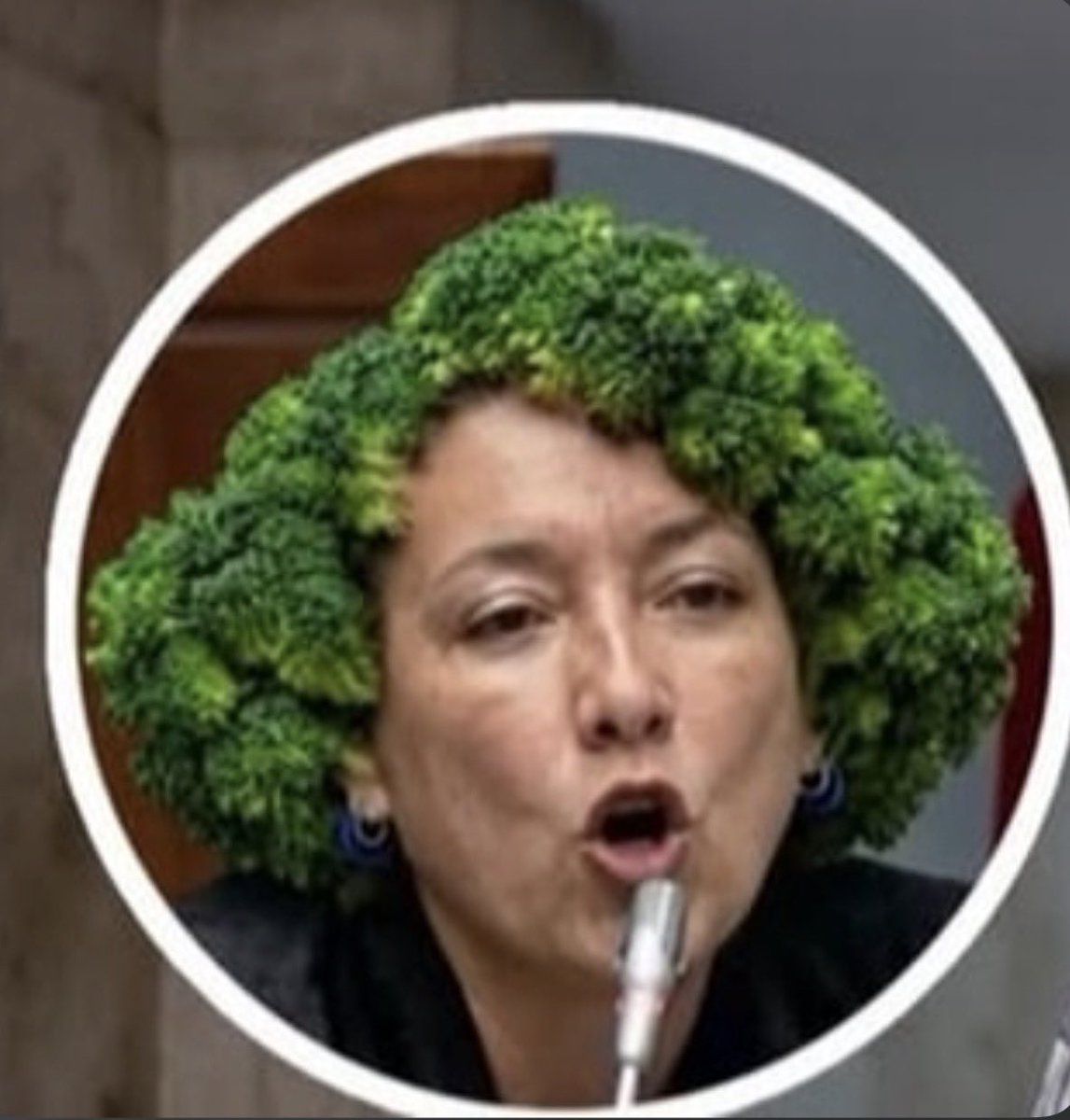 Charles_Bson2's tweet photo. @ISAZULETA Cierra el pico cabeza de broccoli. https://t.co/dt1ZOojAZe