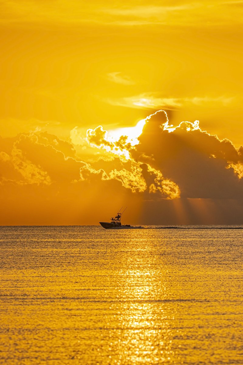 JackLinFLL's tweet photo. Happy autumn equinox!!! We have hit the 12hr day/night mark! Islamorada looking like a giant golden pond this morning!! So many 2-3' green turtles are hanging close to shore for spring tide! Truly spectacular Florida morning 🥰🥰 https://t.co/VJznVYLKhS