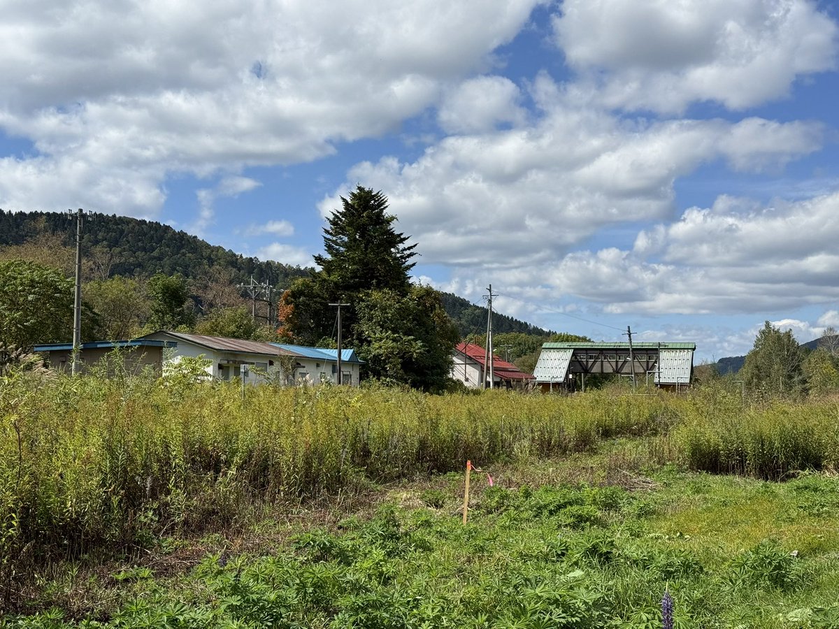 ktgw_tr's tweet photo. ９月某日に訪問した落合駅跡 https://t.co/Rk3Rp9lj4K