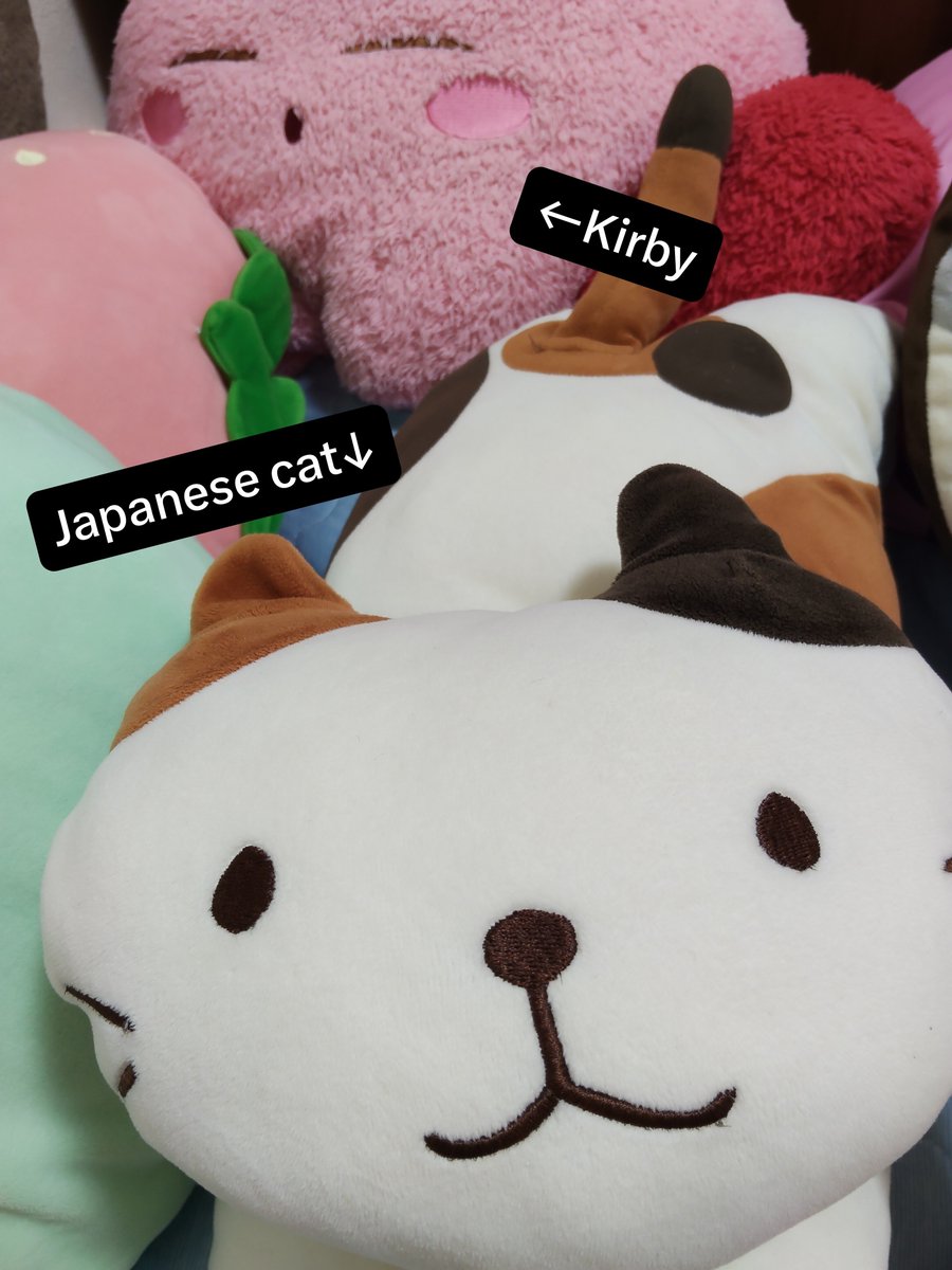 tomapyi88_world's tweet photo. @2chai4u Plush toys are so popular in Japan that there are even shops and cleaning services dedicated specifically to them! 😆 It’s not unusual for adults to own them, either! https://t.co/6HBQBshCNb