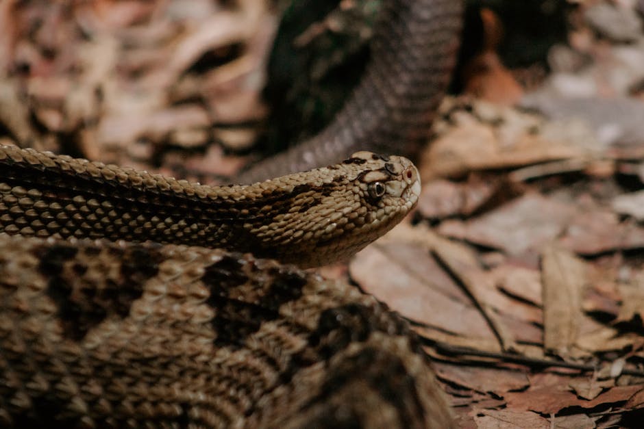 EmilyJones3r's tweet photo. بان الشلالات المهيبة شلال جيوك هو أحد الواقعة بالقرب من الحدود الصينية. terrance debrae https://t.co/v0oxuGddR2