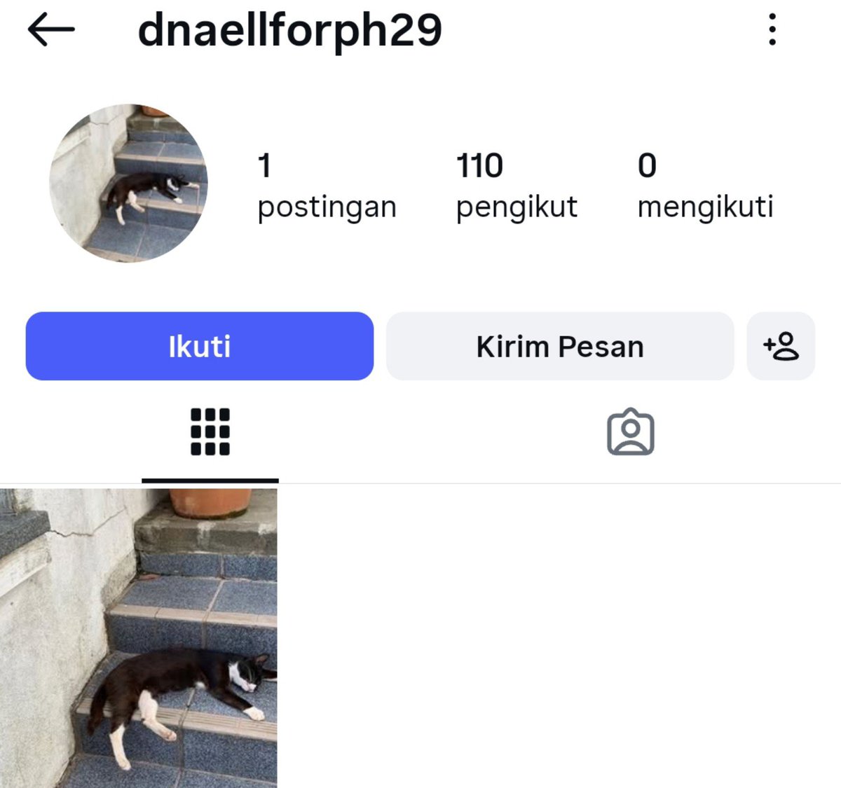 senggwol's tweet photo. Want to sell JUAL AKUN INSTAGRAM RECEHAN 
🍀 
- followers innactive! 
- pembuatan februari 2025 (no logo new)
Harga 13k saja! 

#zonauang wtb acc ig murah old wts https://t.co/ebfzFoYPIP