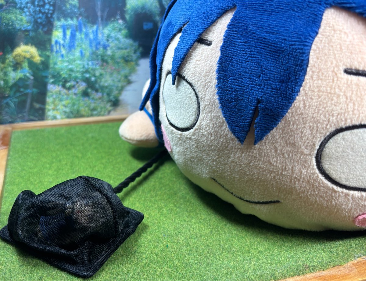 hokyosen's tweet photo. ₍.₈. ₎₎₎  (꒪᷅ᴗ꒪᷄ )₎₎

₍₈⊂(꒪᷅ᴗ꒪᷄ )てぃ　
ﾅｧｧｧ！！ https://t.co/kHRcNT3XjV