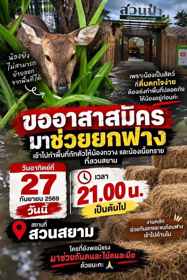 malimalineee's tweet photo. ขออาสาสมัครด่วนค่ะ ขนฟางลงจากรถ อาสาที่ไหนว่างเข้ามาได้เลยนะคะ https://t.co/KdSL0JFf6k
