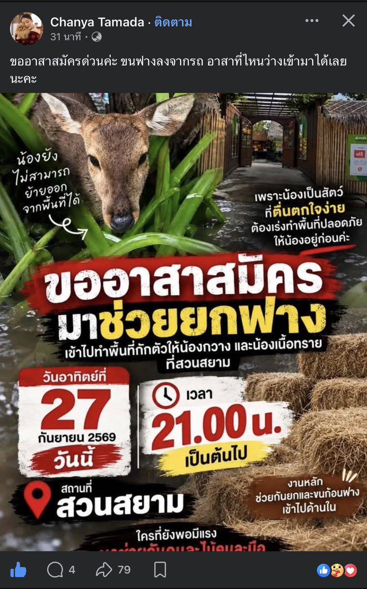 malimalineee's tweet photo. ขออาสาสมัครด่วนค่ะ ขนฟางลงจากรถ อาสาที่ไหนว่างเข้ามาได้เลยนะคะ https://t.co/KdSL0JFf6k