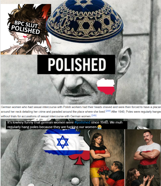 Uberfuhrer8844's tweet photo. @TajikTuranist ACKtually pollacks we're the biggest fuckers in the history. Hanging poles because krauts were cvcks. German women we're regularly fucked by untermensch https://t.co/GUfklpo6Da