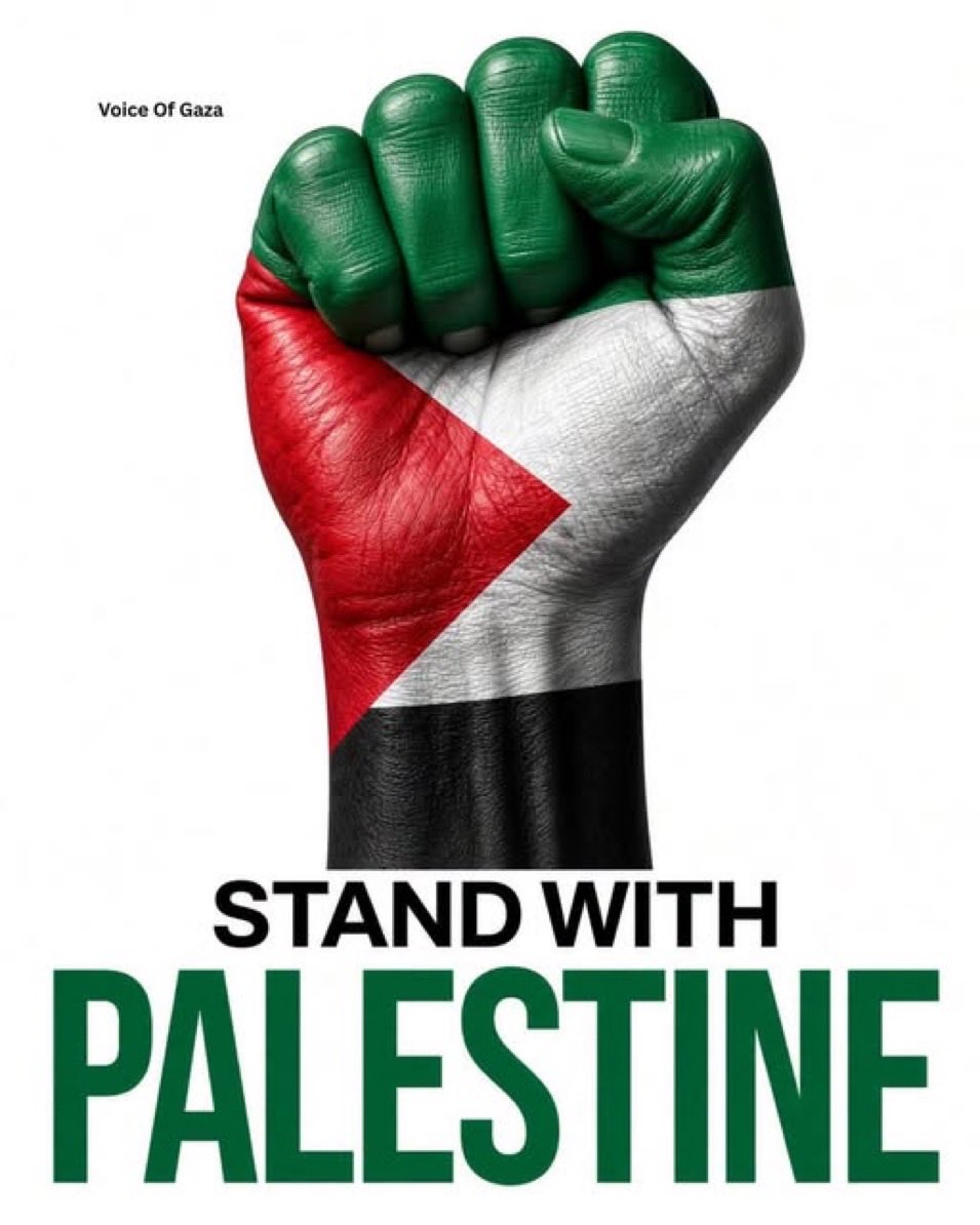 Islamic_2_0_2_2's tweet photo. NEVER STOP TALKING ABOUT PALESTINE 🇵🇸 https://t.co/NBgzIqzNf1