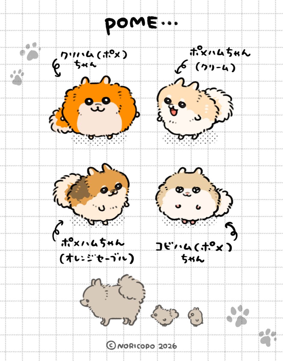 kusohamu_chan's tweet photo. 🐾🐾🐾🐾 https://t.co/90vrWMywDC