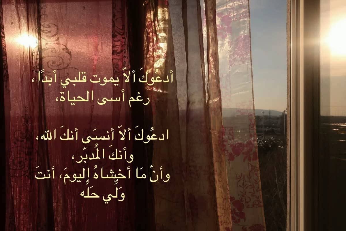 _Nosayba_'s tweet photo. https://t.co/ZtC82OGng3