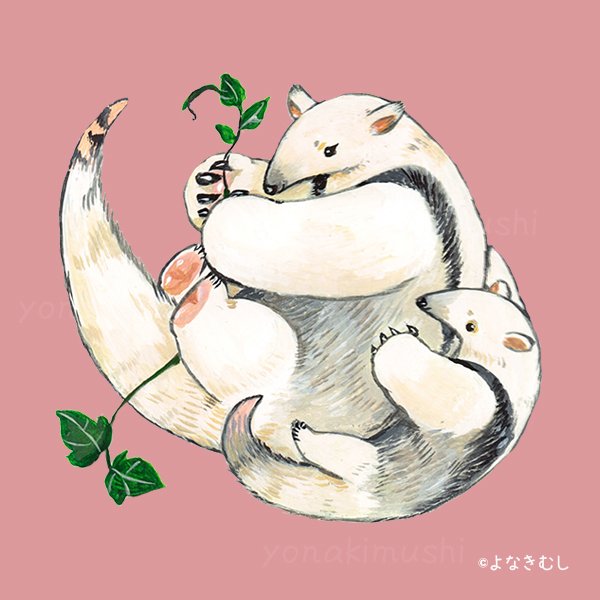 yonaki_mushi's tweet photo. アンちゃんとふくくん🙌
描き始めた頃は小さかったのに今ではほぼ同じ大きさ…🤣💦💦

＃ミナミコアリクイ ＃野毛山動物園 #アン #ふく #illustration https://t.co/kqhLbPNQvT