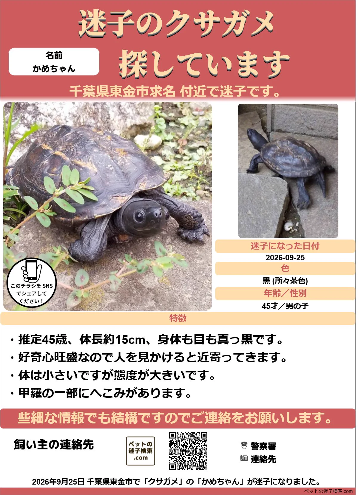 雅（みやび） on X: 